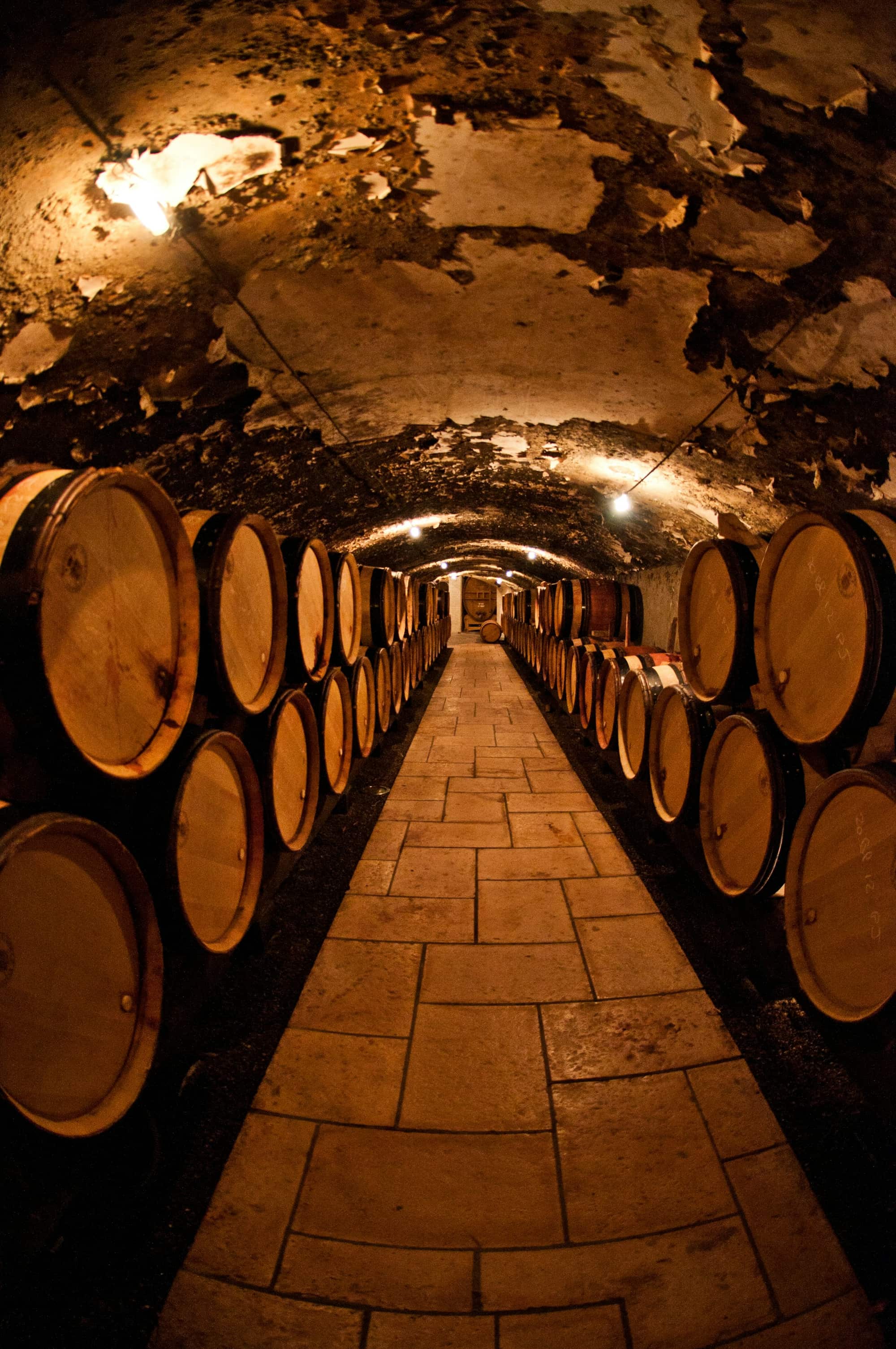 Barrel cellar at the estate